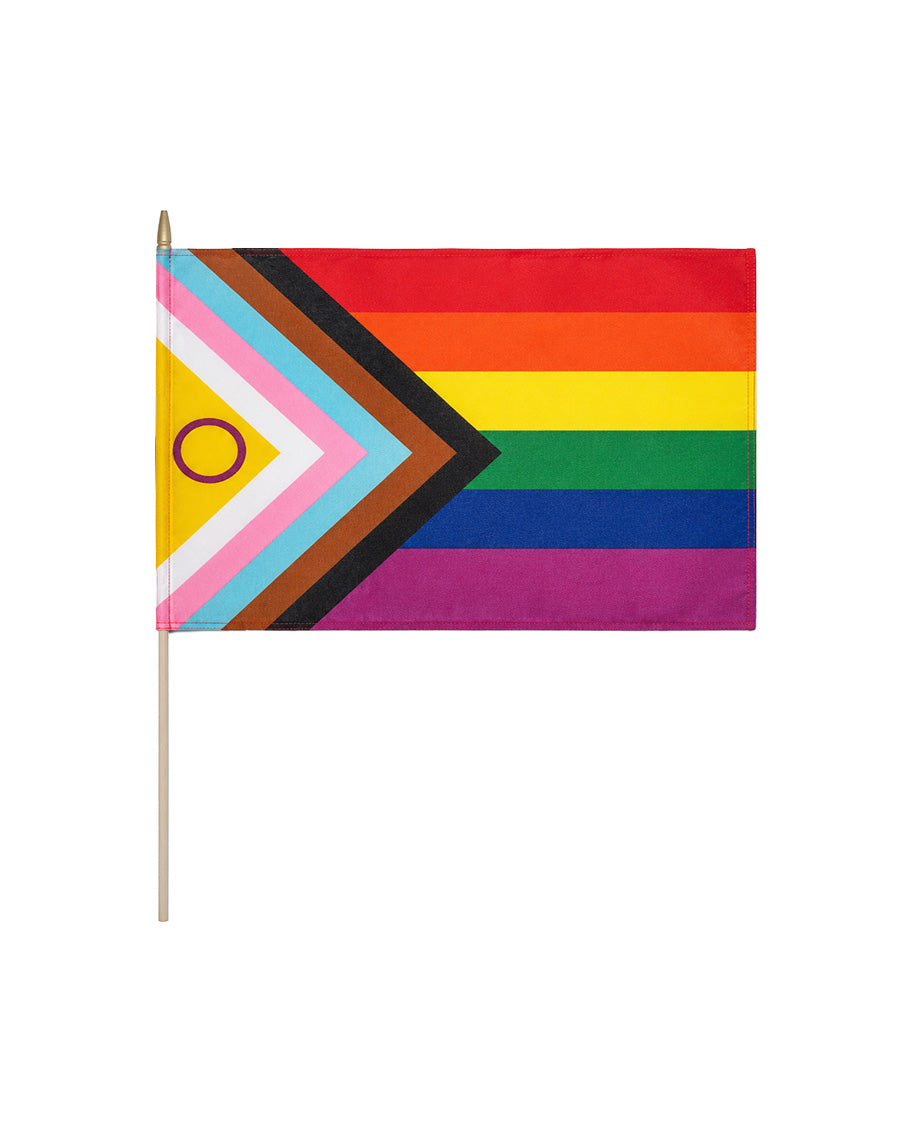 Håndflagg Progress Intersex