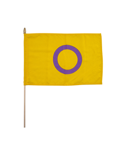 Håndflagg Intersex