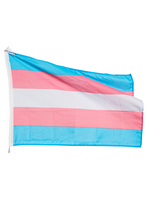 Last inn bildet i Galleri-visningsprogrammet, Balkongflagg Trans
