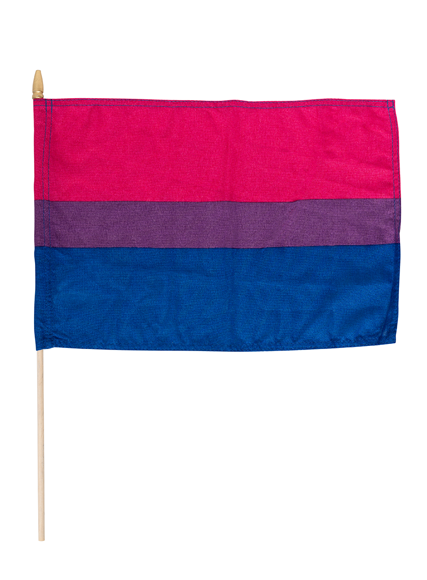 Håndflagg Bi