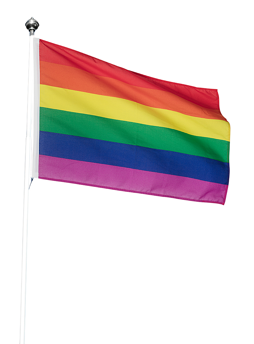 Flagg for flaggstang Regnbue
